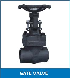 Gate Valve